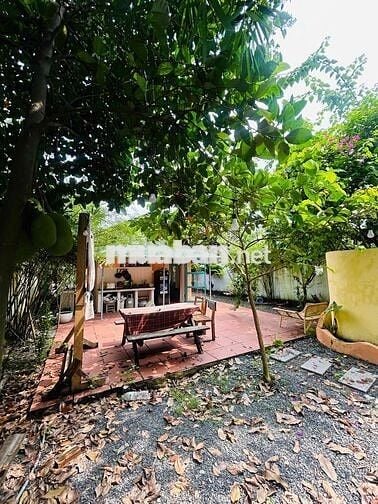 CHÍNH CHỦ CHO THUÊ BIỆT THỰ MINI