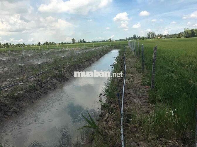 Đất ở liền đất đã lên vườn Núi Sập