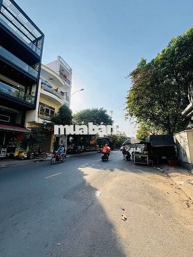 CHo thuê nhà mặt tiền đường Độc lập 4,5x20m 2L