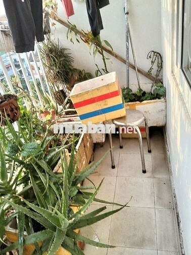 TÌM 1 NỮ Ở GHÉP CHUNG CƯ QUẬN 12 HCM