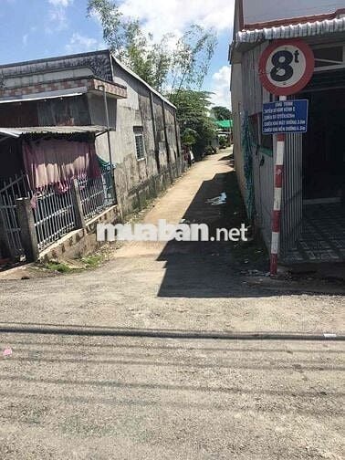 Đất ở liền đất đã lên vườn Núi Sập