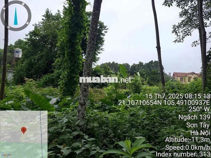 Bán gấp 238m2 lô đất trung tâm phường Trung Sơn Trầm, TX. Sơn Tây, Hà