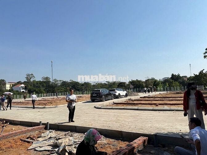 Bán đất nền tại Đường Xuân Khanh, Sơn Tây, Hà Nội, giá rẻ 1,6 tỷ, 50m2