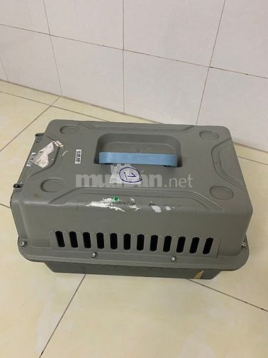 Lòng nhựa đựng chó đã qua sử dụng