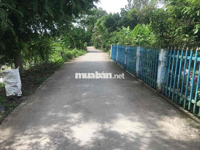 Đất ở liền đất đã lên vườn Núi Sập