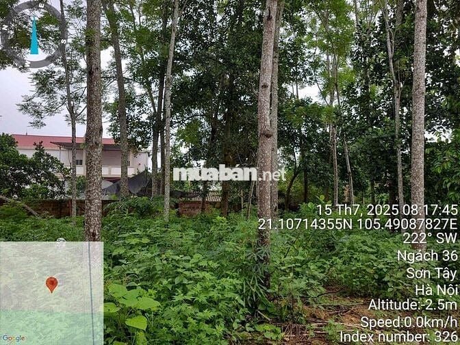 Bán gấp 238m2 lô đất trung tâm phường Trung Sơn Trầm, TX. Sơn Tây, Hà