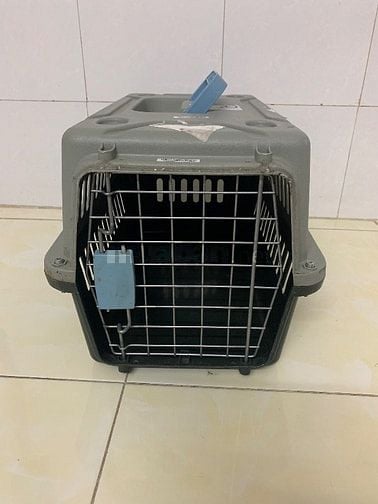 Lòng nhựa đựng chó đã qua sử dụng