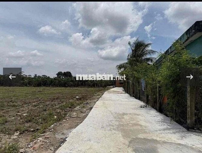 “Hiếm” 1400m2 Đất CLN tại Mỹ Lương, Mỹ Phong, Mỹ Tho cách HL90C 200m