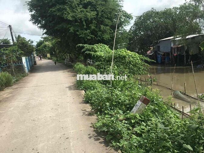 Đất ở liền đất đã lên vườn Núi Sập