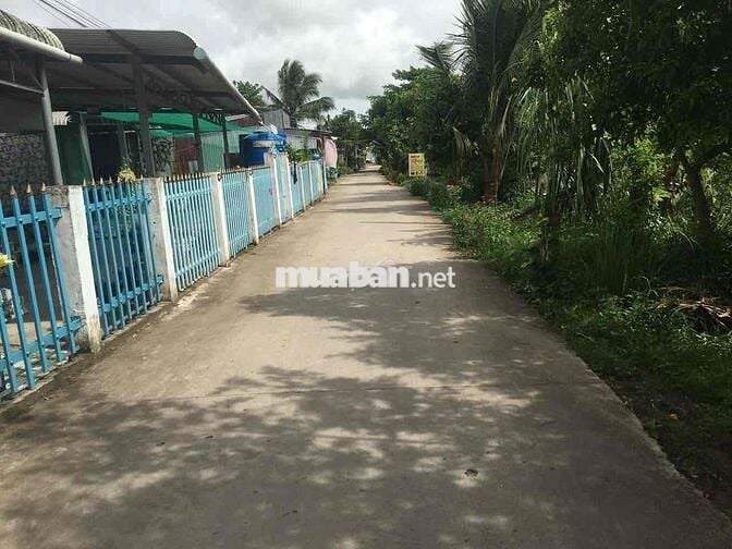 Đất ở liền đất đã lên vườn Núi Sập