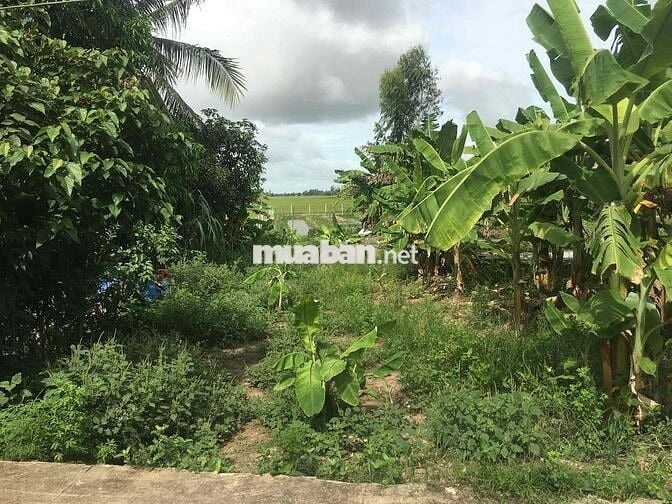 Đất thổ cư tại Kênh C, Núi Sập