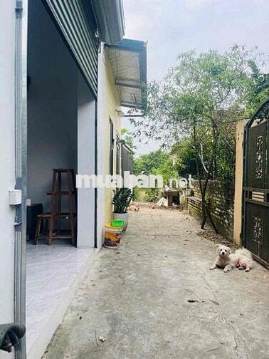 Bán căn nhà câp 4 nội thất đầy đủ sẵn ở