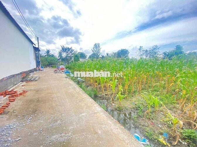 ĐẤT THỔ CƯ 271m2 đường bê tông trung tâm Óc Eo