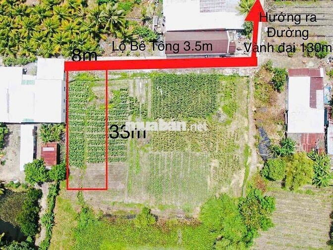 ĐẤT THỔ CƯ 271m2 đường bê tông trung tâm Óc Eo