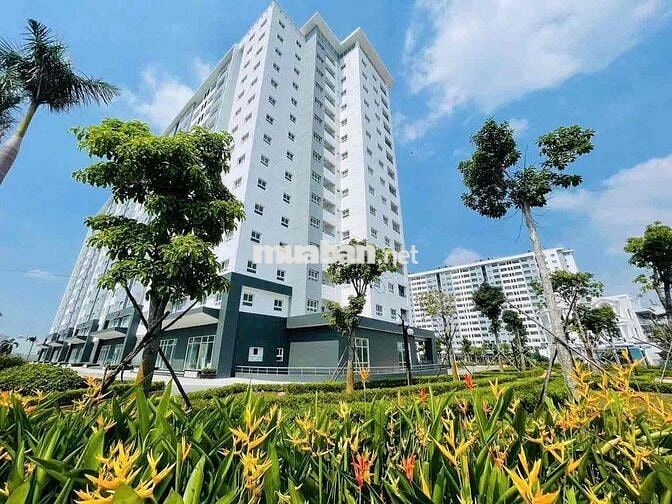 CHUNG CƯ FULL NỘI THẤT CÓ SỔ HỒNG 85m2