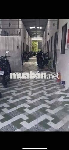 Bán cặp dãy trọ đường Hoàng Phan Thái,Bình Chánh gồm 15phòng giá2tỷ530