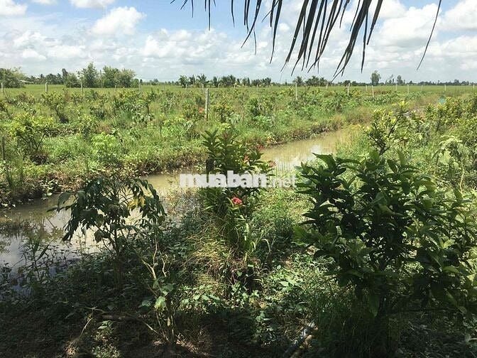 Đất thổ cư tại Kênh C, Núi Sập