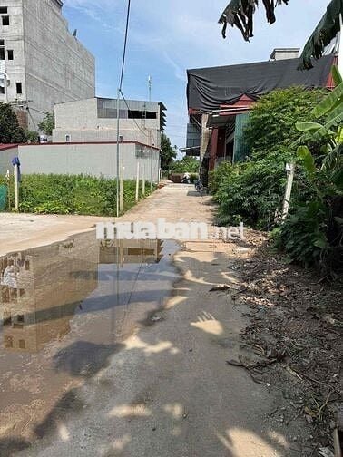 2.5 tỷ đất Thọ An- Đan Phượng-40.8m2- ngõ thông- oto vào đất