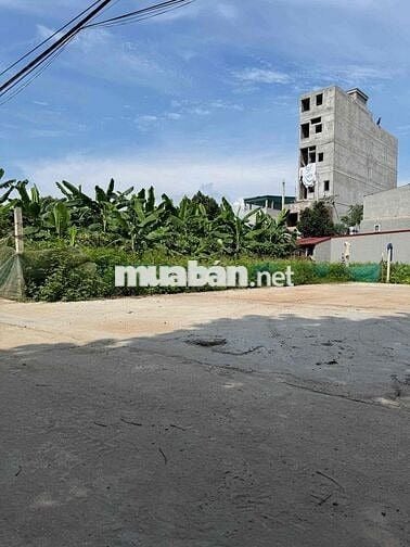 2.5 tỷ đất Thọ An- Đan Phượng-40.8m2- ngõ thông- oto vào đất