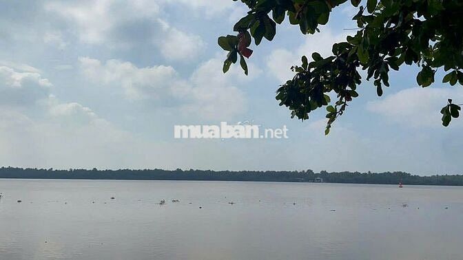 🌿 MẶT TIỀN SÔNG + ĐƯỜNG NHỰA – THỔ CƯ SẴN | PHÚ THẠNH – TÂN PHÚ ĐÔNG