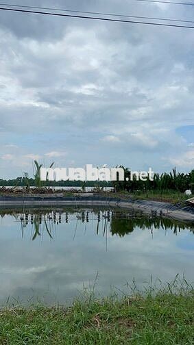 588m² có 50m² TC mặt tiền sông đường nhựa, giá chỉ 750 triệu