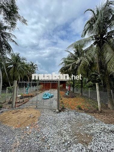 🌿 Bán nhà vườn mini giáp sông 617m2, ô tô tới nơi, 890 triệu