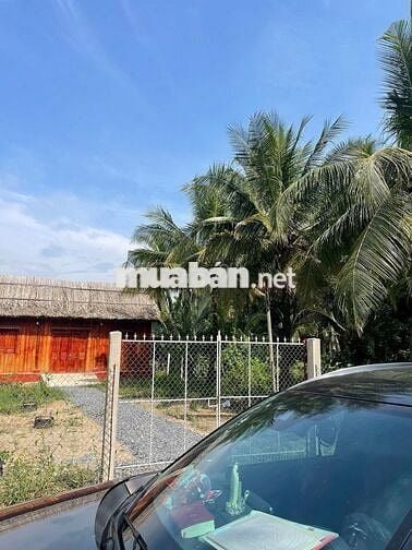 🌿 Bán nhà vườn mini giáp sông 617m2, ô tô tới nơi, 890 triệu