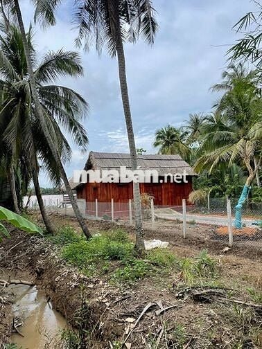 🌿 Bán nhà vườn mini giáp sông 617m2, ô tô tới nơi, 890 triệu