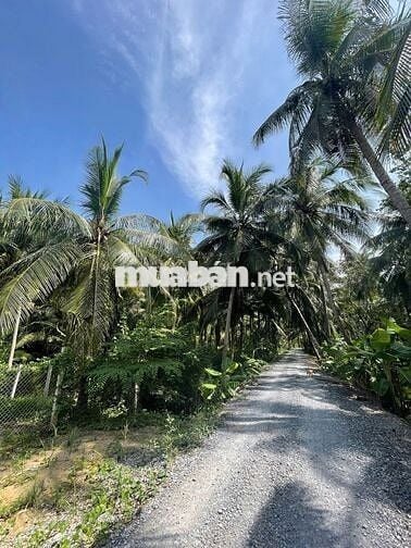 🌿 Bán nhà vườn mini giáp sông 617m2, ô tô tới nơi, 890 triệu