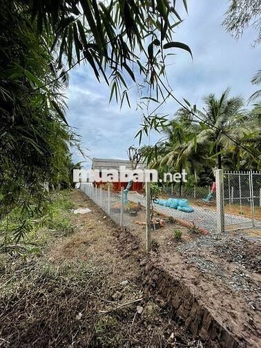 🌿 Bán nhà vườn mini giáp sông 617m2, ô tô tới nơi, 890 triệu