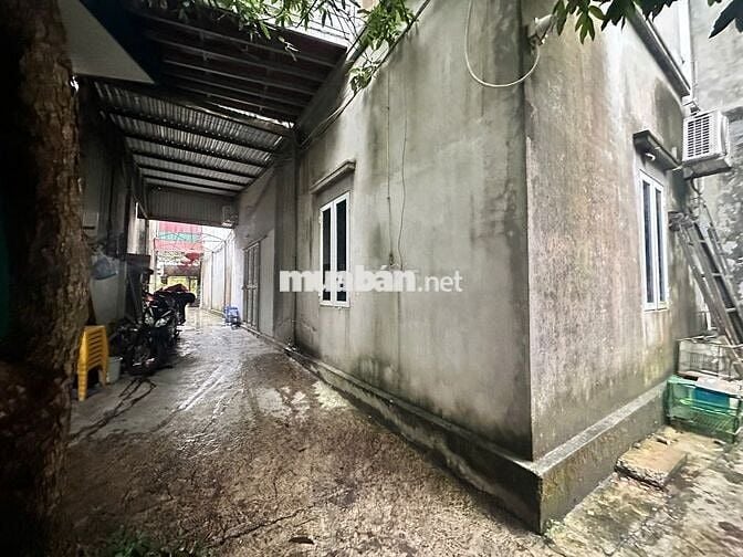 Đình Bảng, mặt đg Lý Cao Tông thổ cư  165,9m2 + vac5sào đang chờ sổ