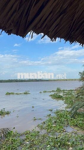 🌿 Bán nhà vườn mini giáp sông 617m2, ô tô tới nơi, 890 triệu