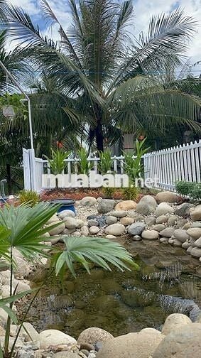 Căn nhà vườn 149,8m ² giá chỉ 670tr có sẵn nhà mới, giữ tiền an toàn