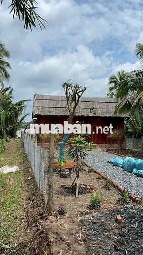 🌿 Bán nhà vườn mini giáp sông 617m2, ô tô tới nơi, 890 triệu