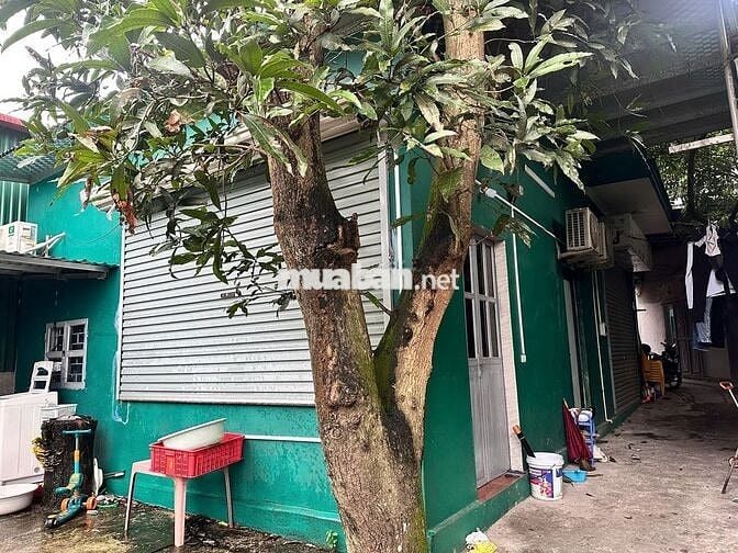 Đình Bảng, mặt đg Lý Cao Tông thổ cư  165,9m2 + vac5sào đang chờ sổ