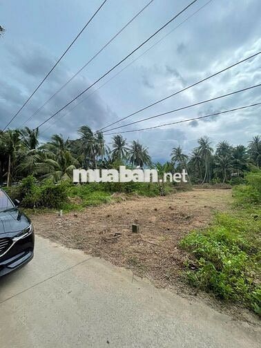 Đất thổ cư giáp rạch giá rẻ Tân Phú Đông – 170m² chỉ 260 triệu, sổ sẵn