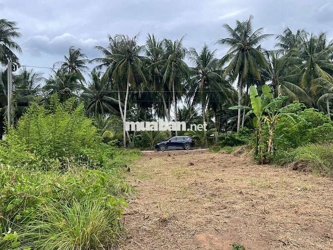 Đất thổ cư giáp rạch giá rẻ Tân Phú Đông – 170m² chỉ 260 triệu, sổ sẵn