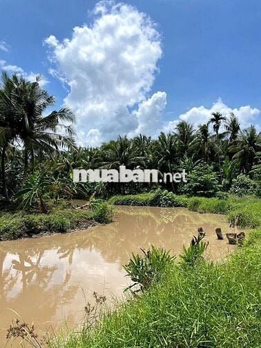 Đất thổ cư giáp rạch giá rẻ Tân Phú Đông – 170m² chỉ 260 triệu, sổ sẵn