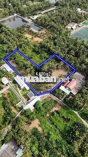 4.400m² đất vườn có thổ cư – giáp rạch thoáng mát