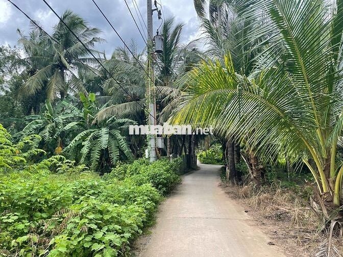 Đất thổ cư giáp rạch giá rẻ Tân Phú Đông – 170m² chỉ 260 triệu, sổ sẵn