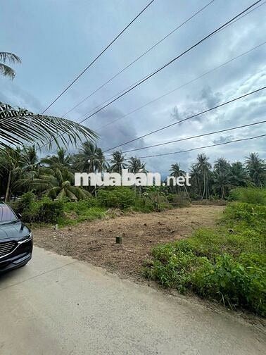 Đất thổ cư giáp rạch giá rẻ Tân Phú Đông – 170m² chỉ 260 triệu, sổ sẵn