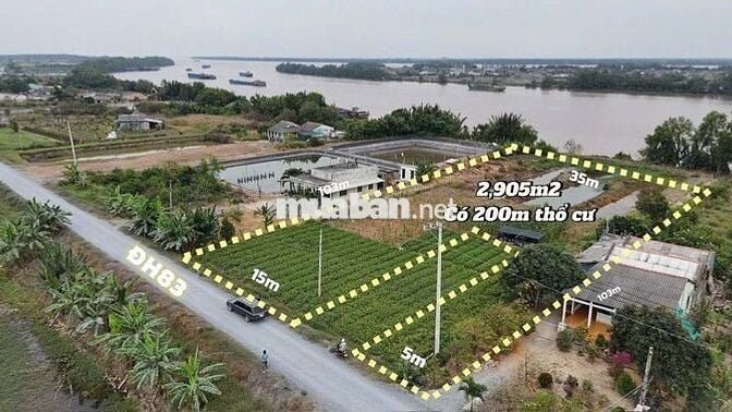 🌿 MẶT TIỀN SÔNG + ĐƯỜNG NHỰA – THỔ CƯ SẴN | PHÚ THẠNH – TÂN PHÚ ĐÔNG