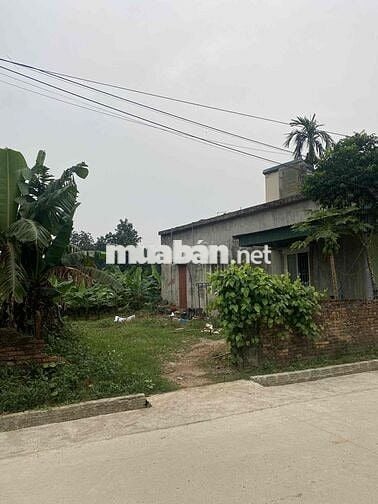 Bán đất của gia đình không qua cò hay môi giới.