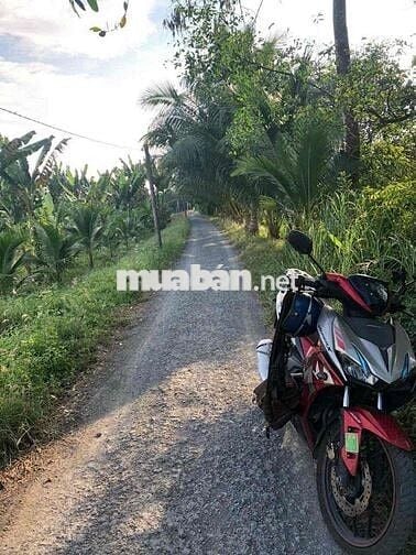 BÁN ĐẤT THỔ CƯ GẦN ĐH CỬU LONG