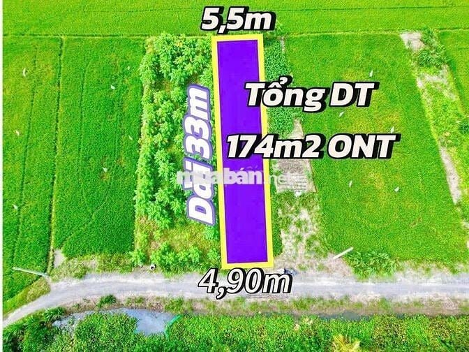 Lô Đất 175m2 Giá Rẻ Thổ Cư Gần CHỢ PHÚ ĐỨC TT LONG HỒ Đi VÀO