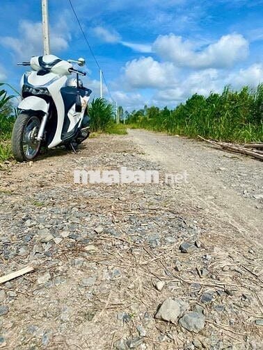 Lô Đất 175m2 Giá Rẻ Thổ Cư Gần CHỢ PHÚ ĐỨC TT LONG HỒ Đi VÀO