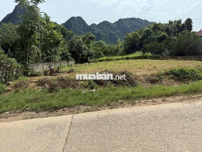 Cần bán đất diện tích 517,5m có 300m thổ cư. Sổ đỏ chính chủ