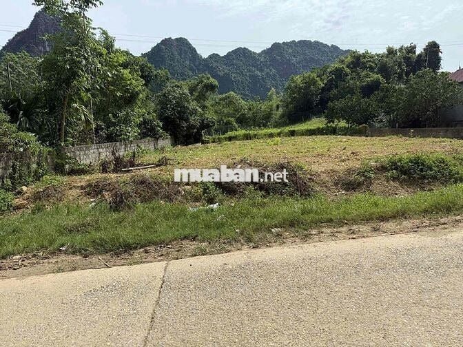 Cần bán đất diện tích 517,5m có 300m thổ cư. Sổ đỏ chính chủ