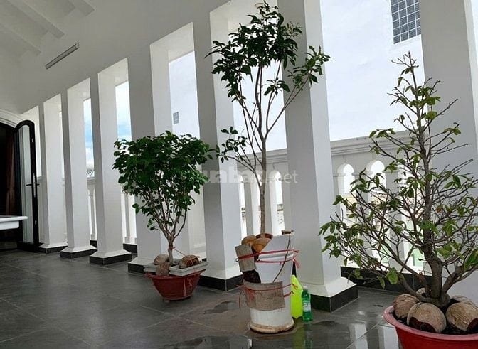 Cho thuê nguyên căn hoặc từng phần Nguyễn Thái Sơn, Phường Hạnh Thông