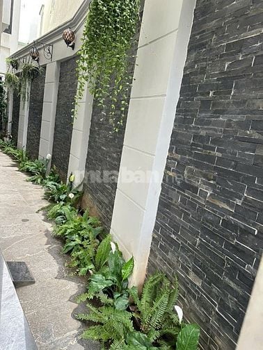 Cho thuê nguyên căn hoặc từng phần Nguyễn Thái Sơn, Phường Hạnh Thông